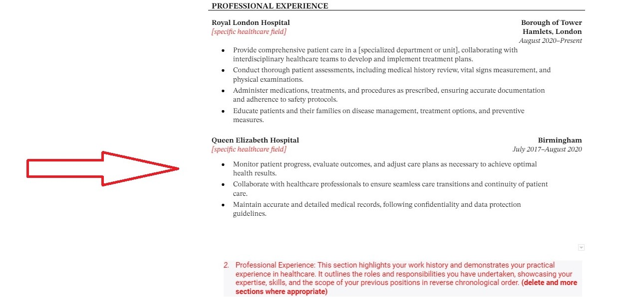 Nursing CV Nursing Experience Section