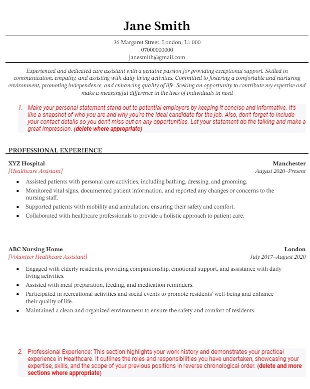 Care assistant CV Template